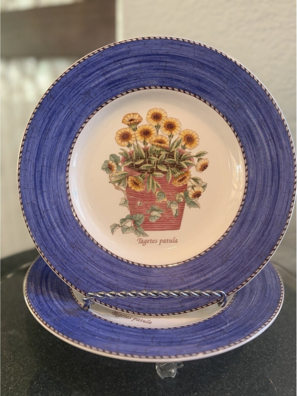 Wedgwood Sarah’s Garden Tagetes Patula 8" Salad Plates Set Of 2 Euc
